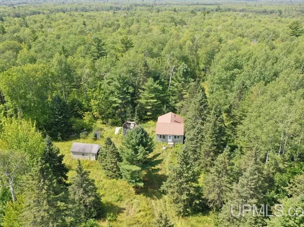 12693 S Fair Oaks Rd, Ewen, MI 49925