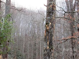 Frosted Ln, Burnsville, NC 28714