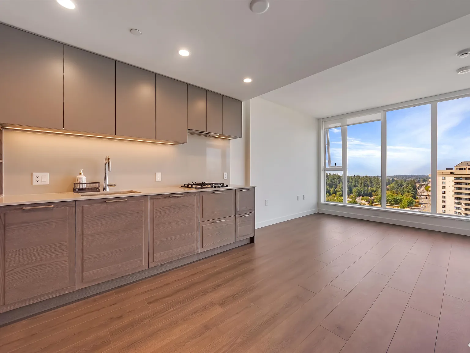 1 bed, 524 sqft, $2,350 — Photo 3