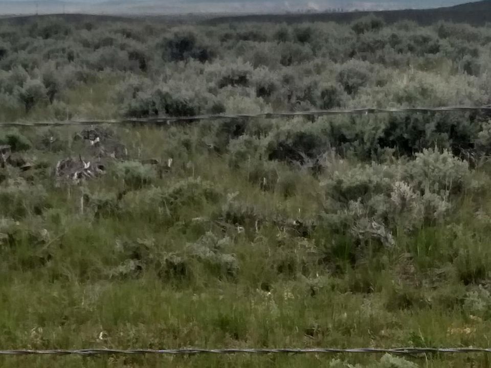 2nd image of Sage Ln