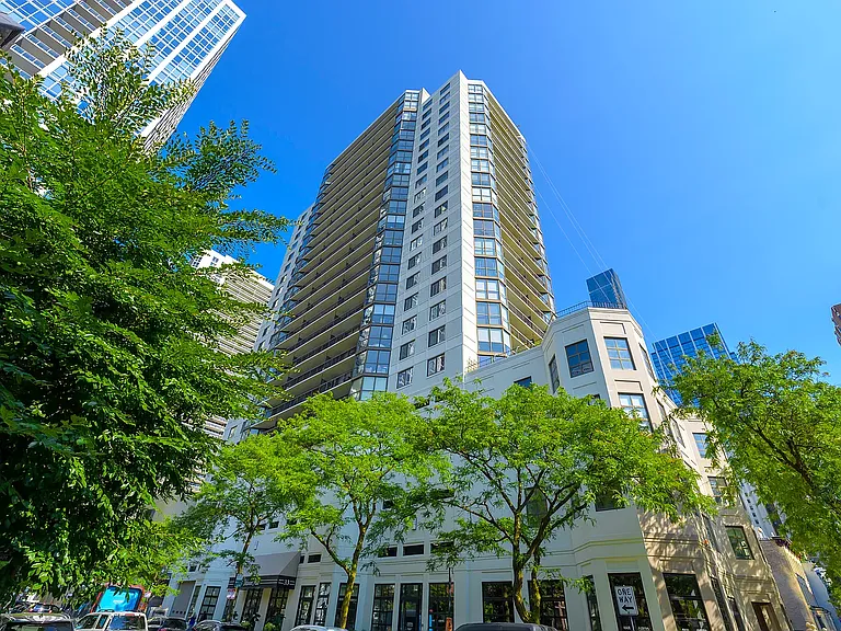 33 W Delaware Pl #11B — Photo 11