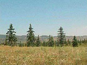 1st image of 7208 Lupine Dr