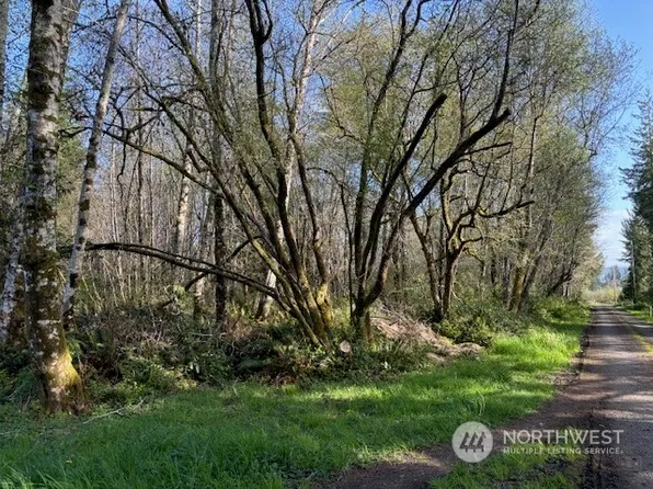0 xx Monte Elma Road, Montesano, WA 98563