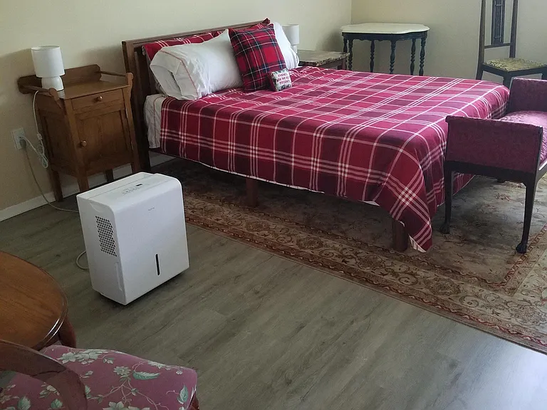 Lower level - 3rd bedroom