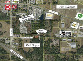 702 Clay Drain Rd, Wildwood, FL 34785