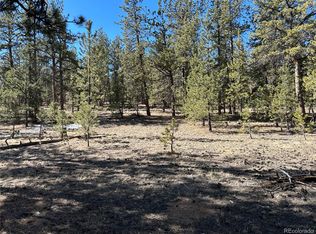 147 Haystack Road LOT 199, Hartsel, CO 80449