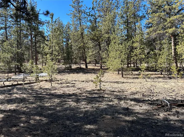 147 Haystack Road LOT 199, Hartsel, CO 80449