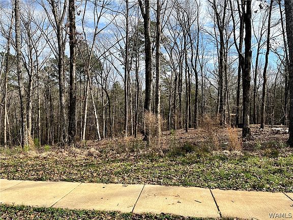 3rd image of LOT 25 Edgewater Dr