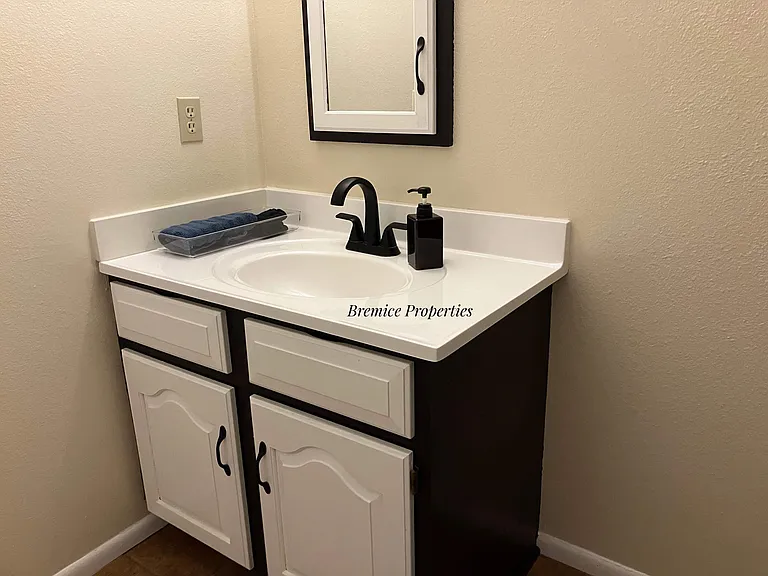 Ensuite sink