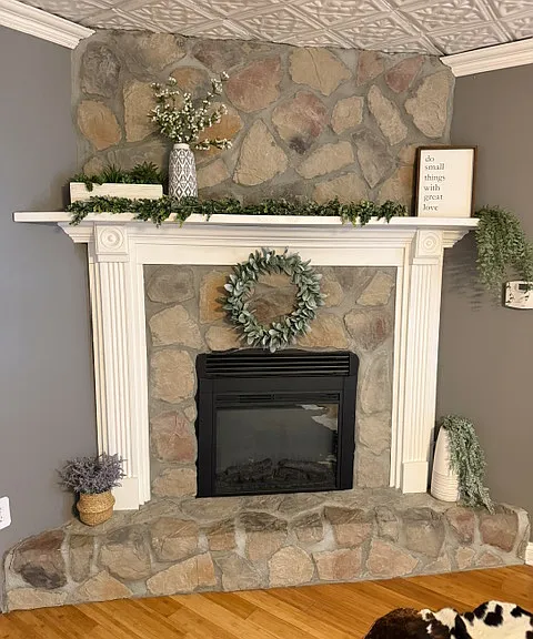 Fireplace (electric) in main BR