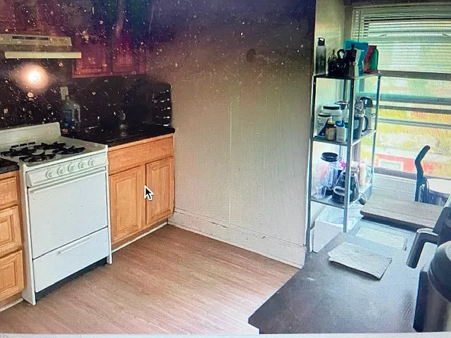Studio, 300 sqft, $950 — Photo 4