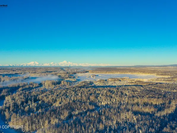 64497 S Parks Hwy, Willow, AK 99688