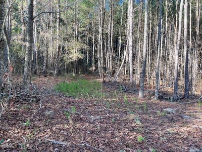 0 Turlington Rd Tract F, Dunn, NC, 28334