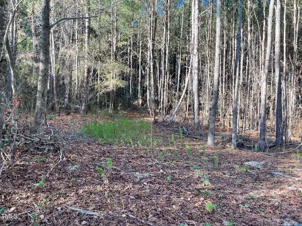 0 Turlington Rd Tract F, Dunn, NC 28334