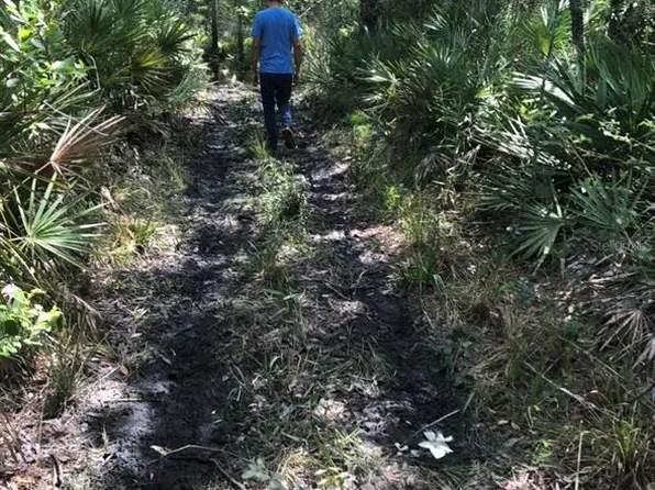 2449 Old Train Rd #6H, Deltona, FL 32738