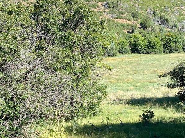 TBD Road 46, Mancos, CO 81328