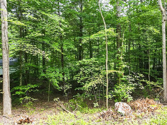 4th image of 473 N Lake Dr