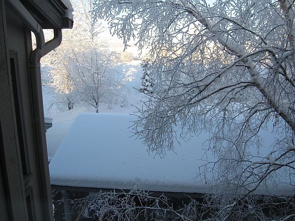 View out North Bedroom