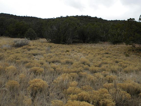 4th image of 5 Canon Escondido