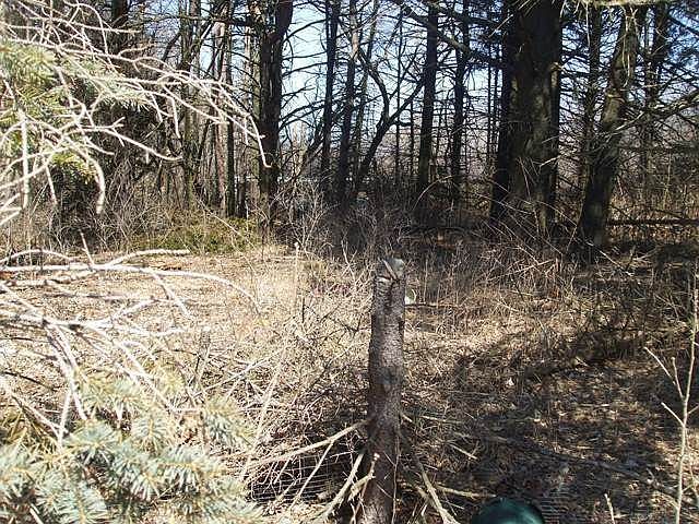 2nd image of 106 Four Mile Rd