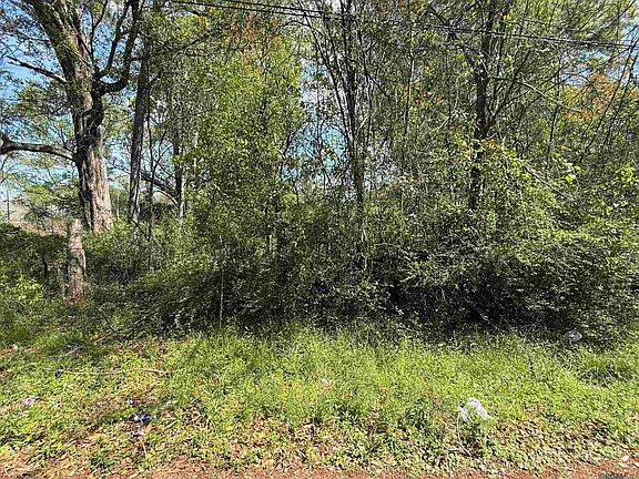 3rd image of LOT 1A Louisiana Ave