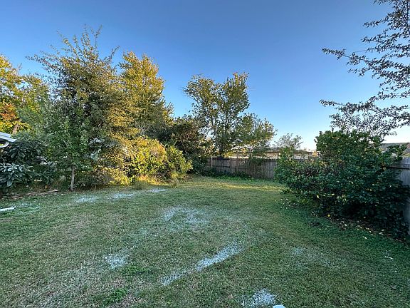 Back yard