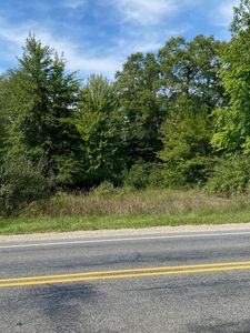 Maple Island Rd, Twin lake, MI, 49457