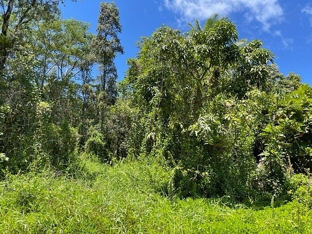 1st image of 23rd Avenue Naupaka Lot 233
