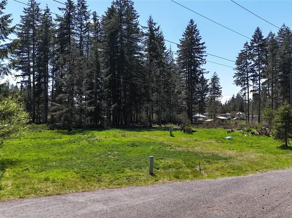 170 W Blackberry Lane, Elma, WA 98541