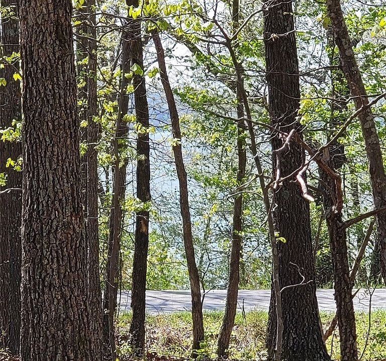 2nd image of Tbd Sellers Rd