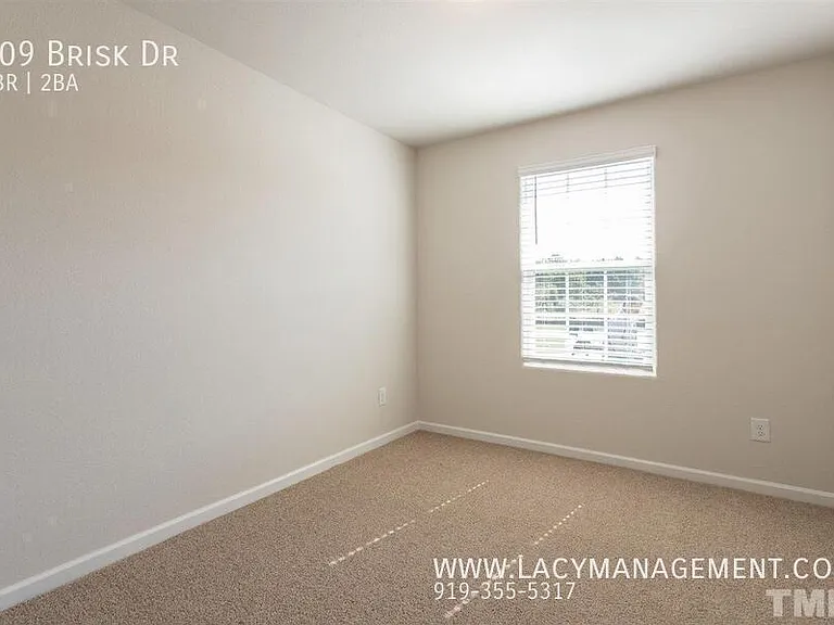209 Brisk Dr — Photo 12