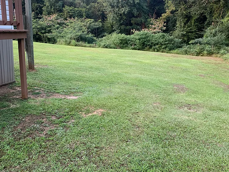 280 Price Rd — Photo 29