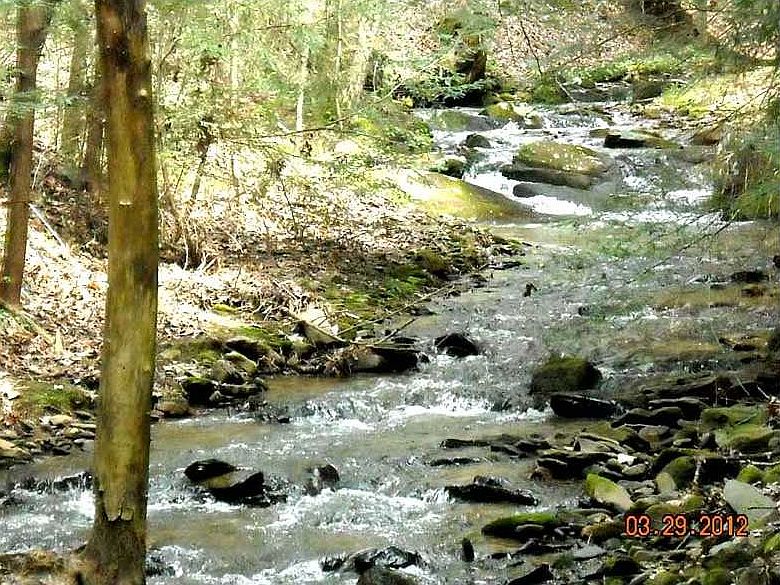 1st image of 320 Turkey Creek Dr