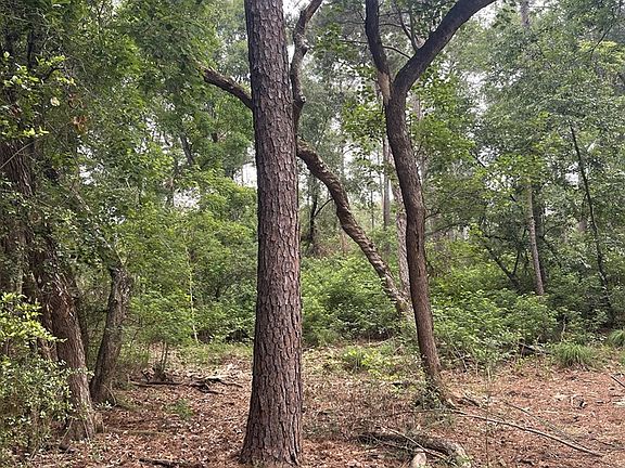 4th image of R15685 Moore Cemetery Rd