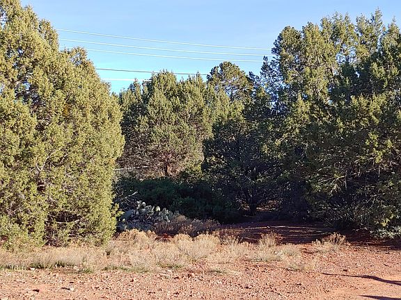 3rd image of 205 Zane Grey Dr