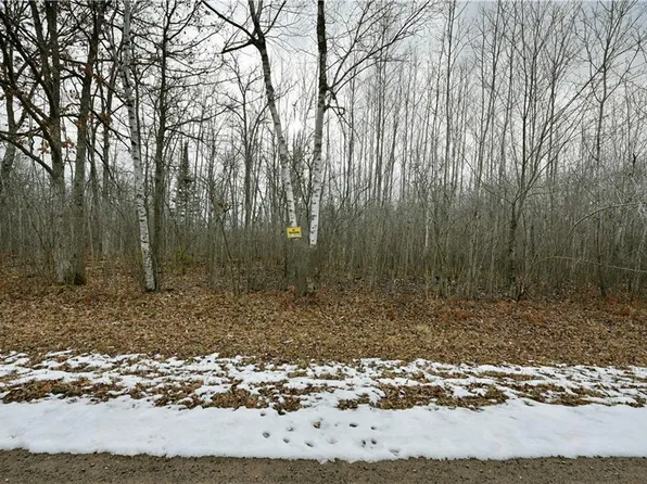 Lots 2 & 3 Buchman Road, Springbrook, WI 54875