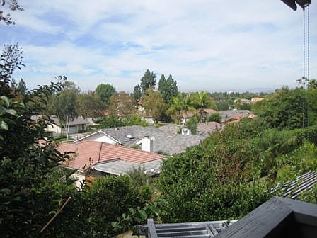 Treetop and Hills view