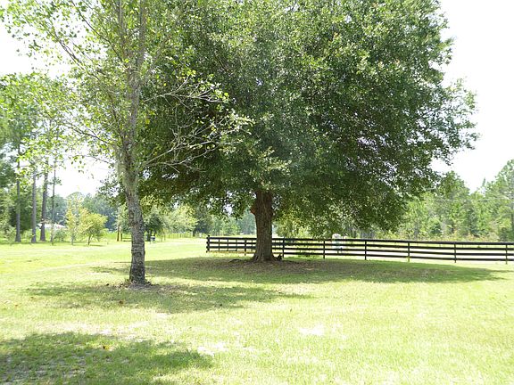 Left front yard