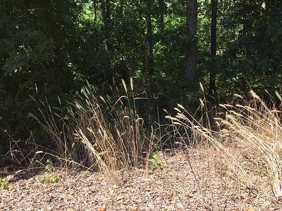 4th image of Damerham Ln