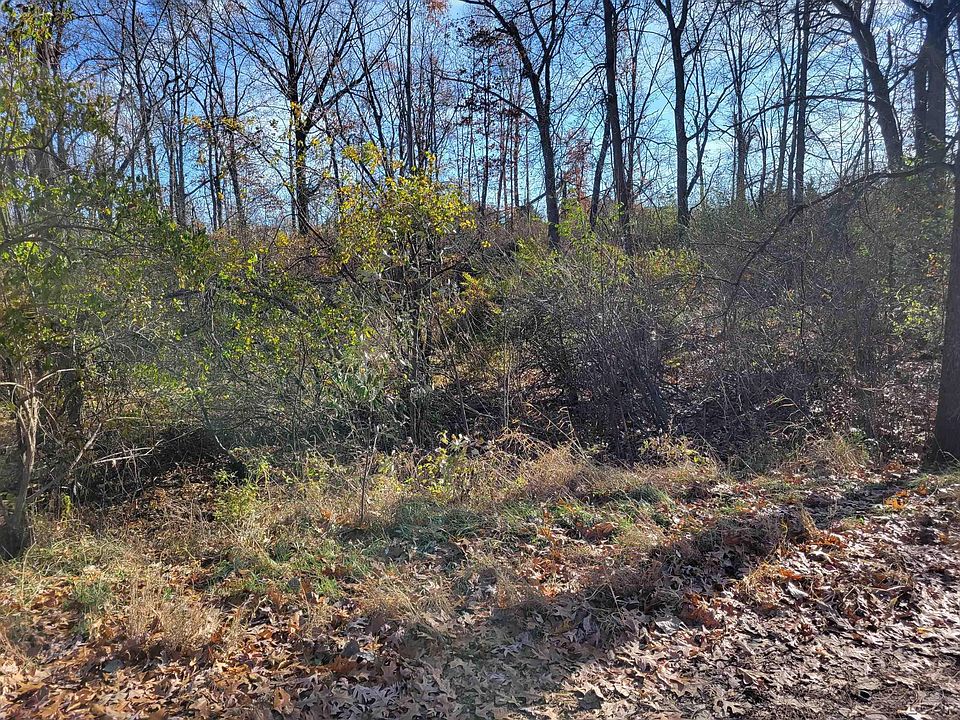 2nd image of 9951 Southlawn Cir