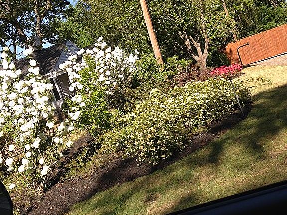 5th image of 2325 Redwood Dr