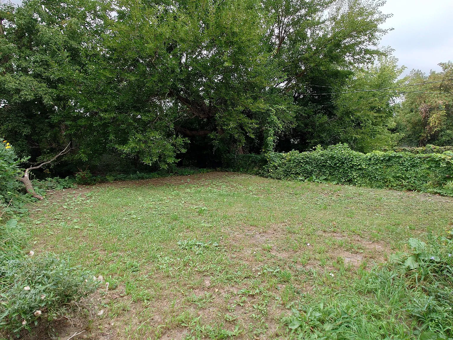 20453 Concord Street - Yaira LLC - 1 — Photo 4