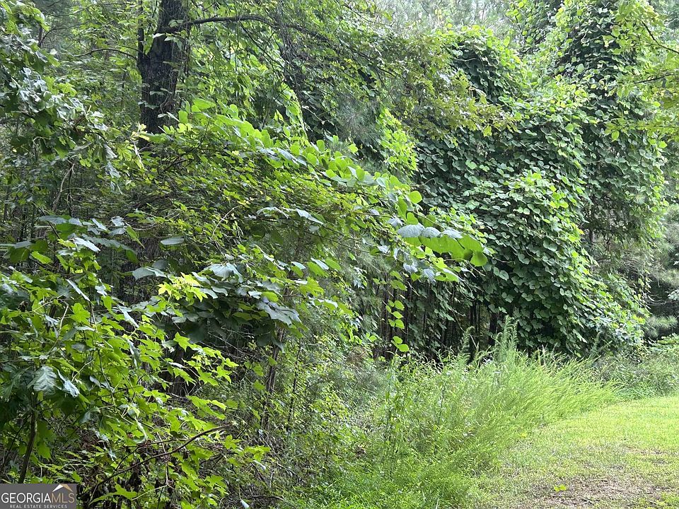 2nd image of 4923 Amsler Rd