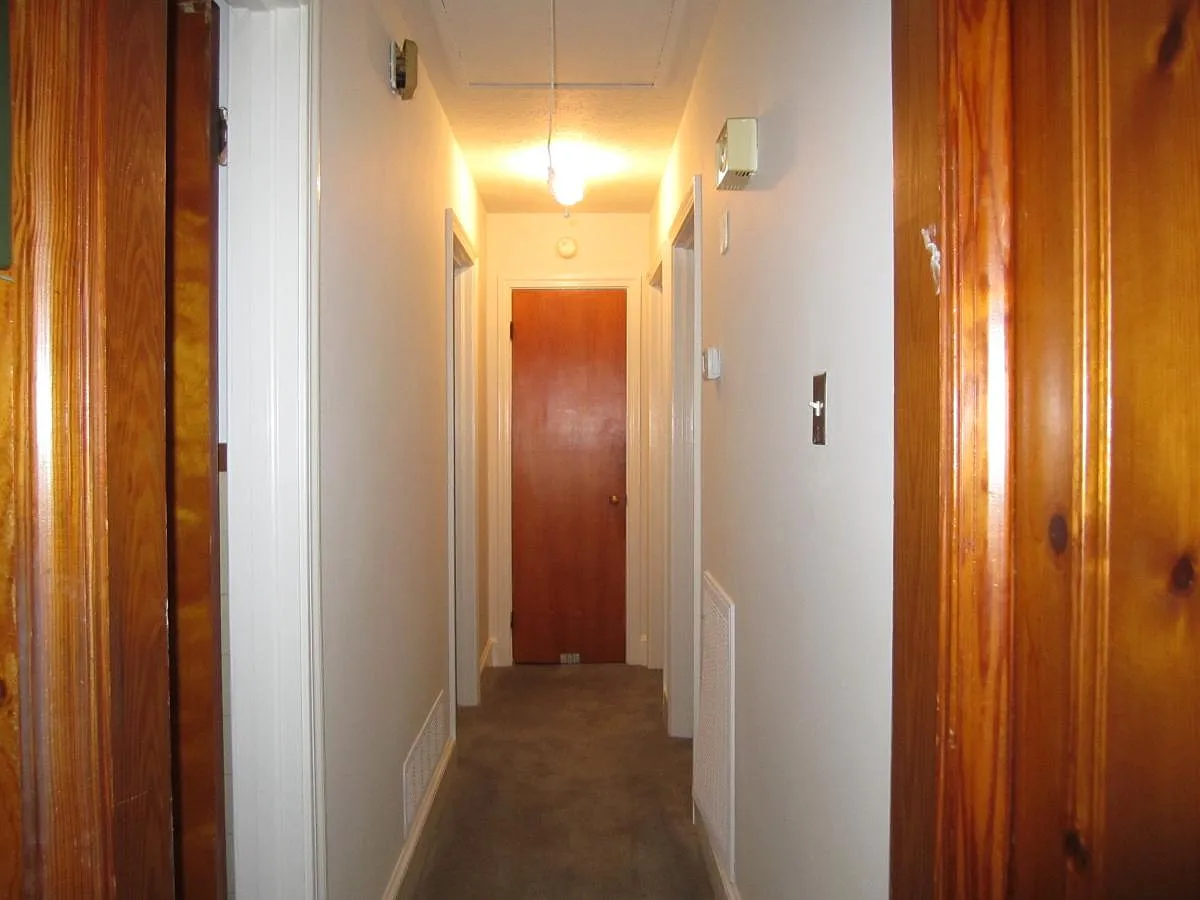 3 bed, 1.5 bath, $1,350 — Photo 3