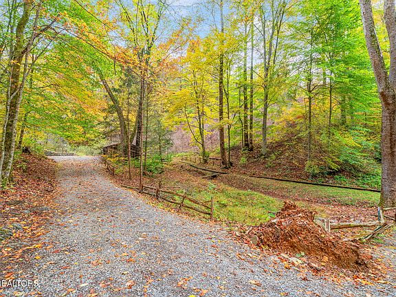 50th image of 205 Tobby Hollow Ln
