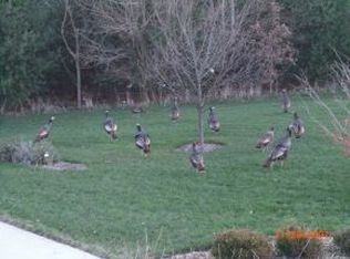 13244 20b Rd, Argos, IN 46501