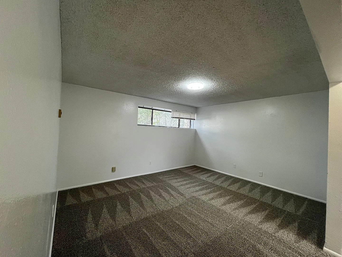 Sunrise Apartments — Photo 4