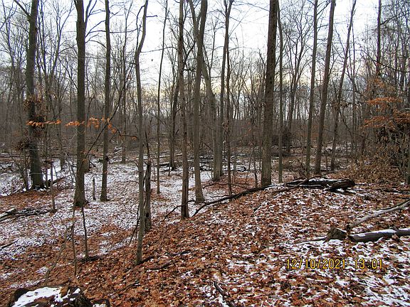 2nd image of 14000 W Townline Rd Lot Wp001