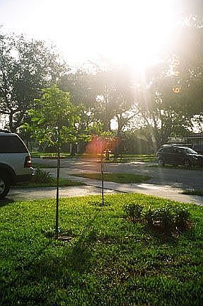 Neighborhood street to left w/small park