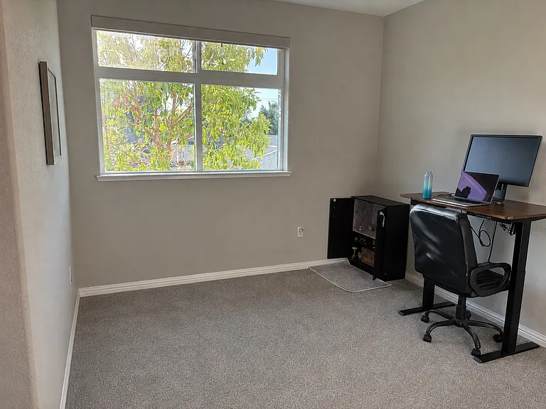40665 Squill Cmn — Photo 18